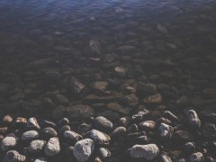 2027中国信创产业技术创新大会暨应用实践论坛