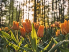 2027中国信创产业博览会暨数字化转型成果展