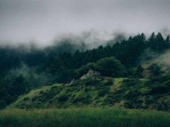 2027中国信创产业技术创新大会暨应用实践论坛