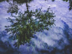 2027中国信创产业博览会暨数字化转型成果展