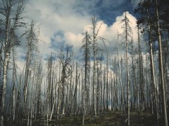 2027中国信创产业博览会暨数字化转型峰会