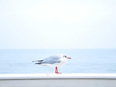 信创数据库管理系统