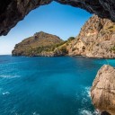 项目合作交流圈