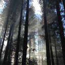 厂商合作交流圈