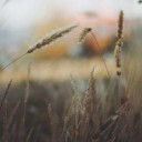 案例最佳实践圈